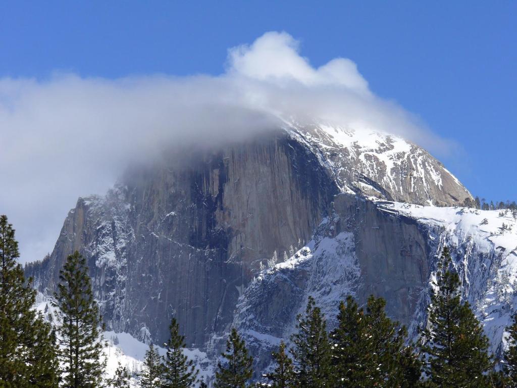 Yosemite Sierra View Bed & Breakfast Oakhurst Luaran gambar